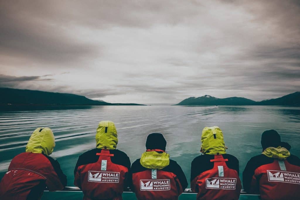 Fünf Menschen beim Whalewatching schauen vom Boot aufs Meer